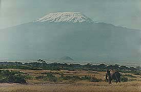 Mount Kilamanjaro