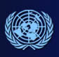 UN Logo